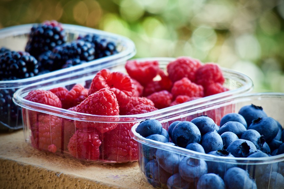 How can you keep your food and fruits fresh all day long?