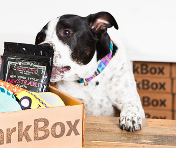 Best Dog Christmas Gifts for 2020