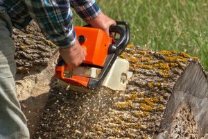 stump-removal-ottawa