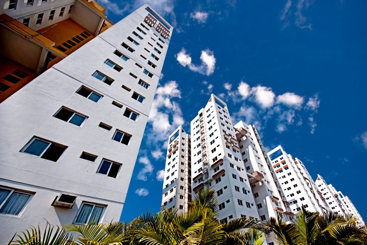 5 benefits of having cactus and succulents at home