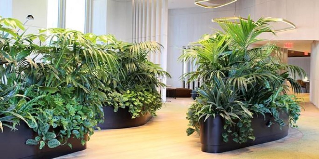 The Best Indoor Plantscaping in Philadelphia in 2021