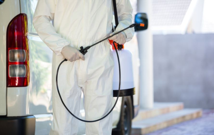 pest control Ilford