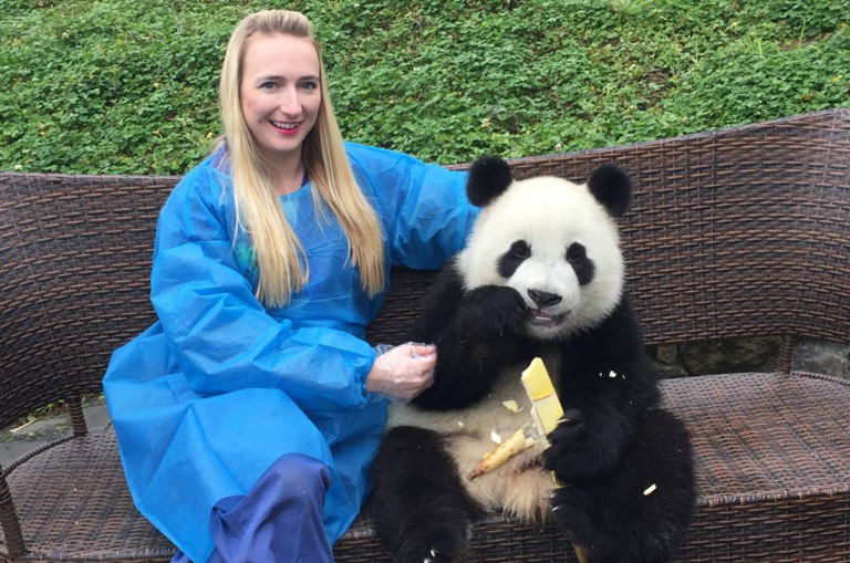 What Makes the Journey of a Chengdu Panda Volunteer Delightful