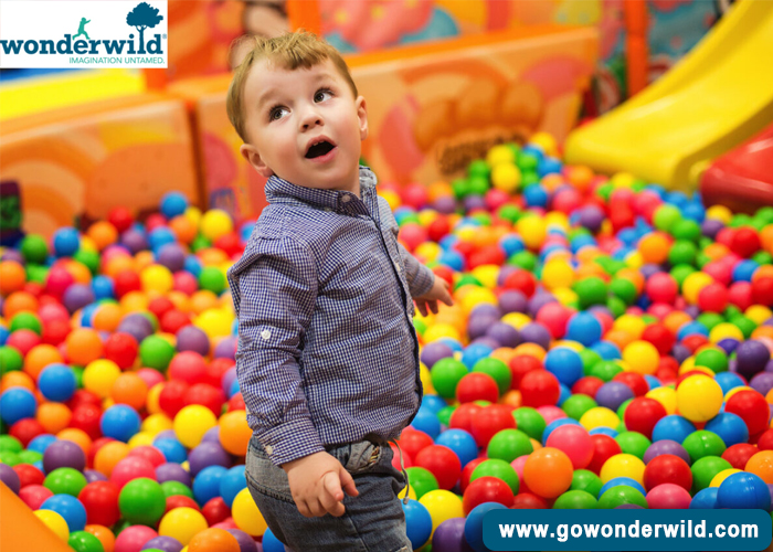 How an Indoor Playground Fosters Your Kid’s Growth | Wonderwild