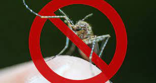 Getting Rid of Long Island Tick And Mosquito Control