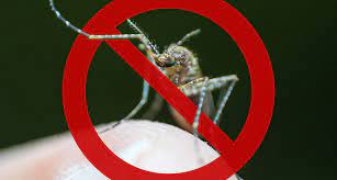 Considerations With Natural Indoor Mosquito Control