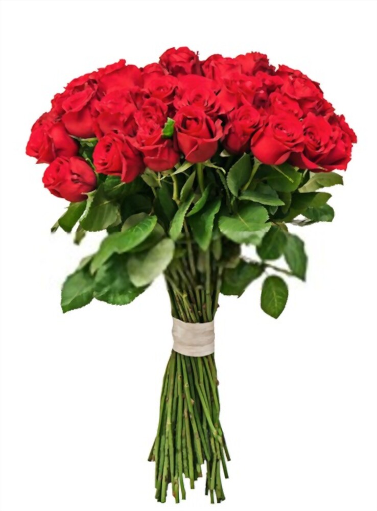 Blossom Flower Delivery In Gurgaon: Show Your Love