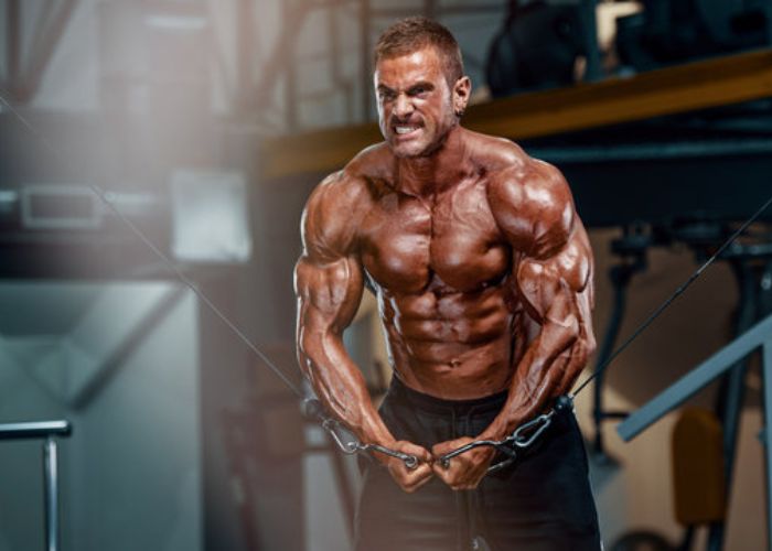 Why Buy Testosterone Enanthate? Check Out Top Benefits Here — Domestic Supply