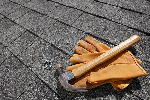 Enhance Your Property Protection and Appeal with Expert Roofer Edinburgh