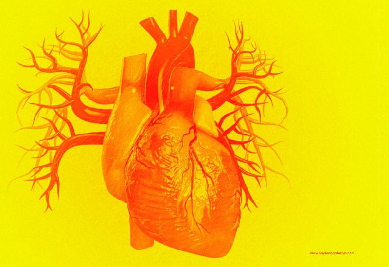 Heart Disease Is On The Rise! Here's How Covid-19 Could Affect Your Heart Health