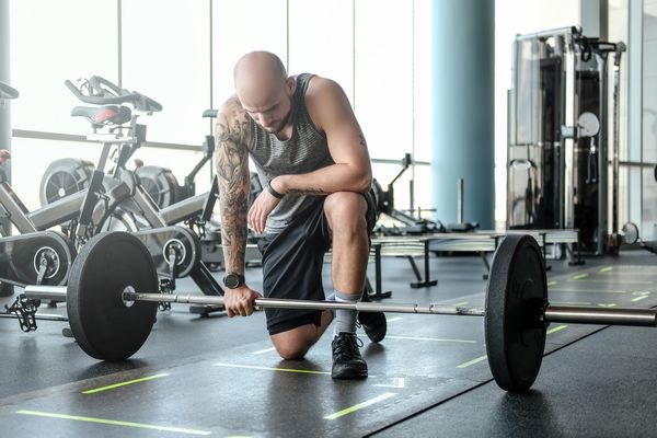 Supplements for Optimal Performance Supplements for Optimal Performance