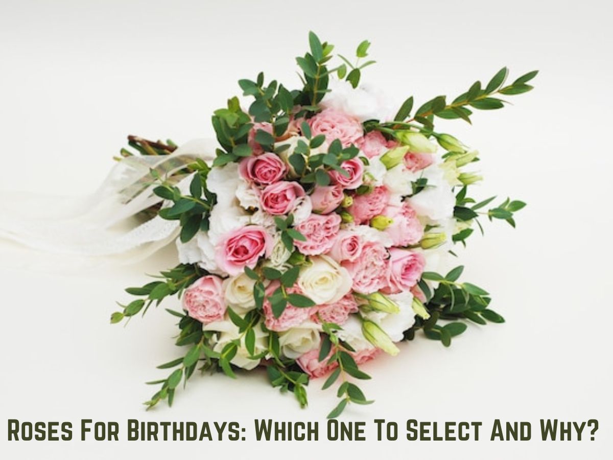 Roses For Birthdays: Which One To Select And Why?